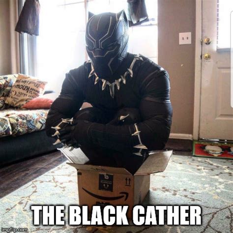 Black Panther As A Real Cat Imgflip