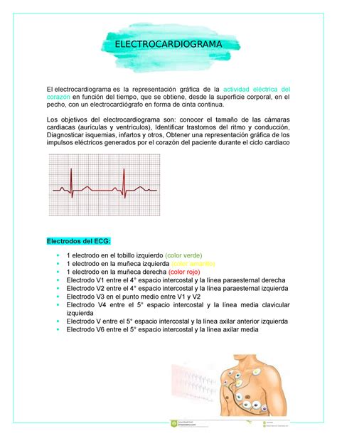 Electrocardiograma Generalidades usos y procedimiento de realización