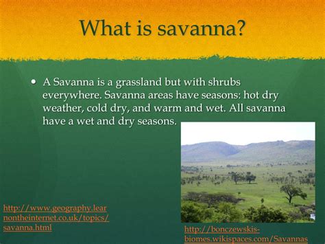 Ppt Savanna Tropical Grassland Powerpoint Presentation Free