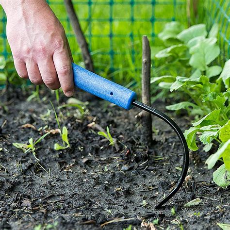 The 7 Best Weeding Tools To Keep Your Garden And Lawn Pristine