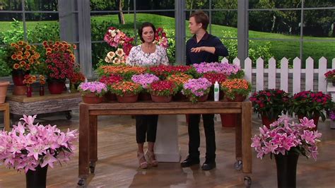 Robertas 9 Piece Hardy Succulent Ice Plant Collection On Qvc Youtube