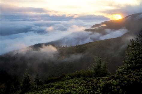 Free Images Landscape Nature Forest Wilderness Cloud Sky