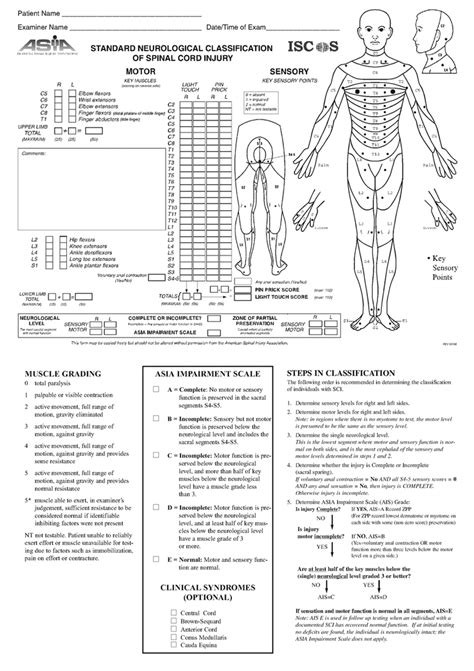 Pg Medic Standard Neurological Classification Of Spinal Cord Injury