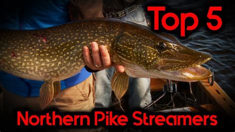 Top 5 Pike Streamers Youtube