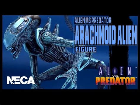 Aliens Vs Predator Game Arachnoid Alien Movie Deco Action Figure