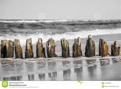 Wooden Wave Breakers On The Beach Stock Photo Image Of Landscape