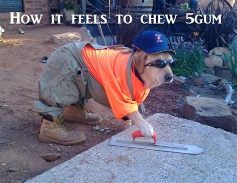 Image 505370 How It Feels To Chew 5 Gum Know Your Meme