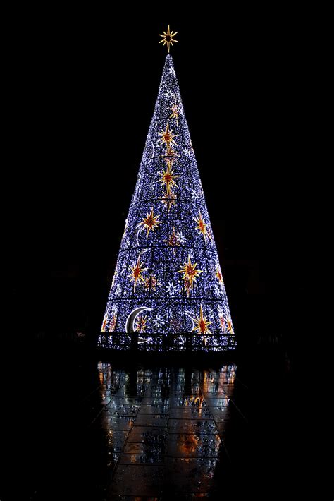 Fotos Gratis Ligero Noche Decoración Reflexión Torre Oscuridad Iluminación árbol De