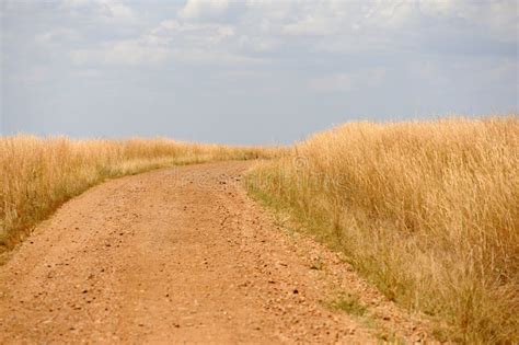 Savannah Landscape In The National Park In Kenya Stock Image Image Of