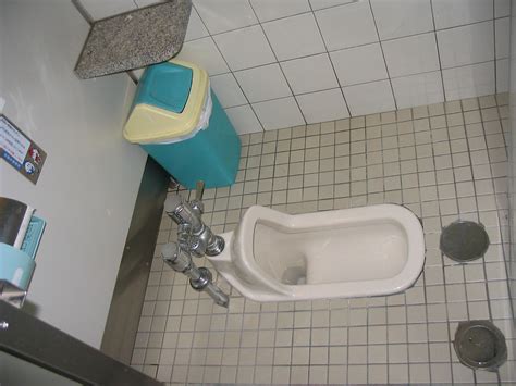 Benefits Of The Washiki Japanese Style Squat Toilet KCP International