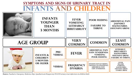 Urinary Tract Infections Uti In Babies International Medical