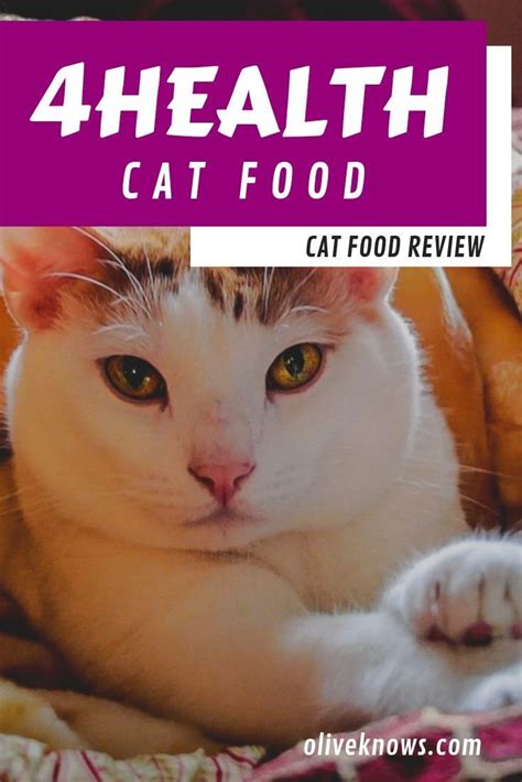 Acana offers our cats 4 different formulas with proteins that come from beef, chicken, lamb and mackerel. 4Health Cat Food Review: Is This Food Cat Worthy? | Cat ...