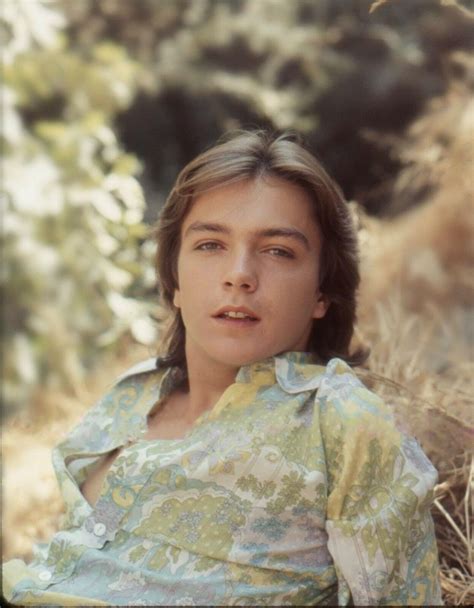 Pin By Kim Southern On Love You David Cassidy David Cassidy Favorite Celebrities Heartthrob