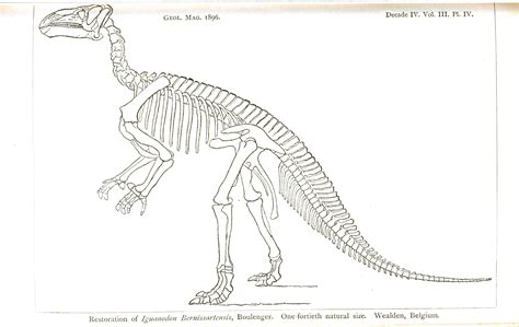 Peerless Dinosaur Bones Coloring Pages Spring Cut And Paste Worksheets