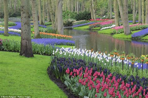 Top 177 Hình ảnh Vườn Hoa đẹp Nhất Thế Giới Vn