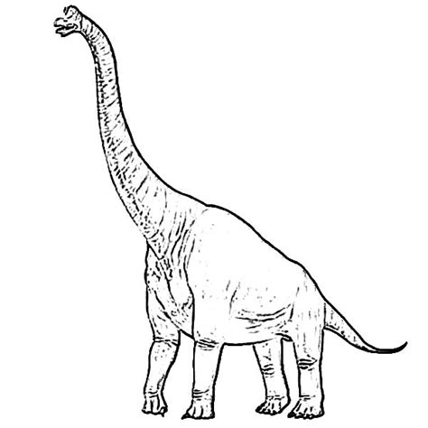 Brachiosaurus Coloring Page for Kids | Color Luna
