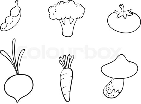 Sketches Of Vegetables Stock Vector Colourbox