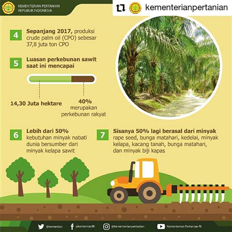 We did not find results for: Daftar Perusahaan Perkebunan Kelapa Sawit Di Kalimantan Barat - Seputar Usaha