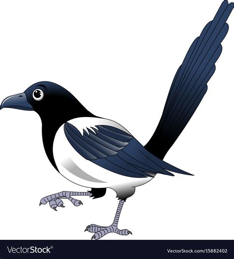 Magpie Cartoon Vector Illustration Isolated On White Bacground