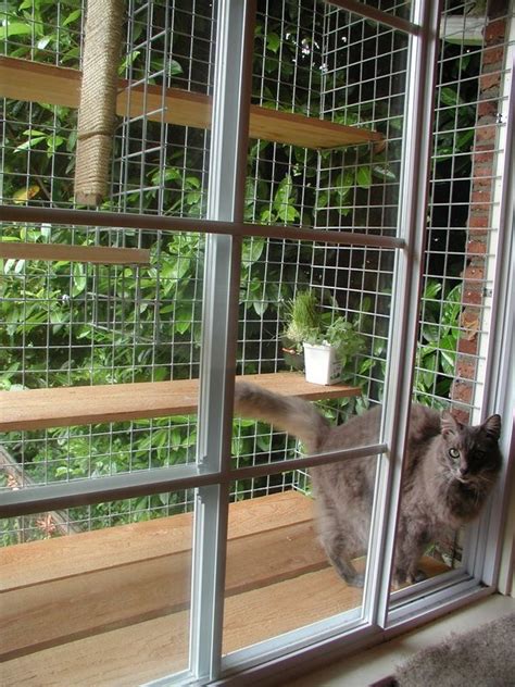 Bri made one for her cats too, we actually cut a board to fit the window sill… layout batting and fabric under board and cut to size, allowing fabric and batting to wrap on under side. Window Box..... Pet Enclosures Northwest website | Pet ...