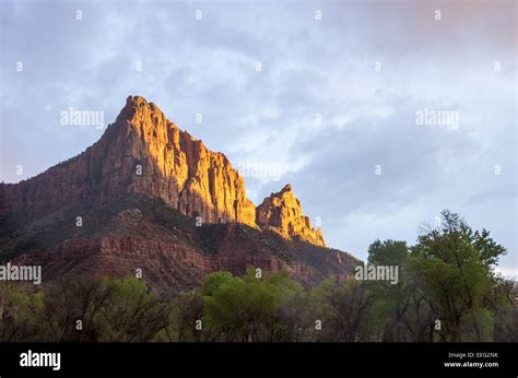 The Watchman Glows At Sunset In Zion National Park Stock Photo Alamy