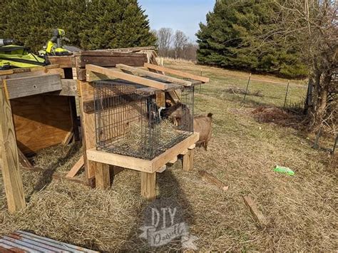 Buy hay rack and get the best deals at the lowest prices on ebay! DIY Goat Hay Feeders in 2020 (With images) | Hay feeder, Goat hay feeder, Wire dog crates