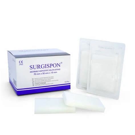 Box Of 10 Pices Special Absorbable Hemostatic Gelatin Sponge For To