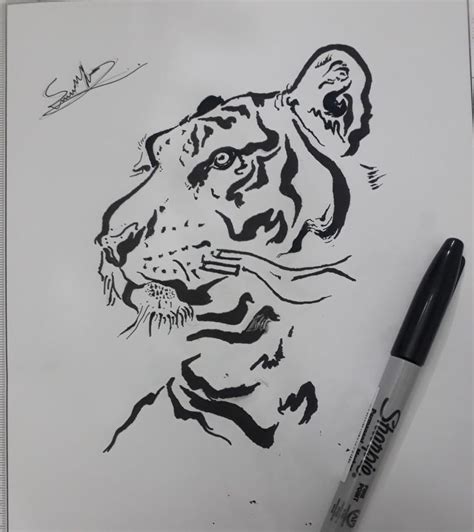 Aprender Acerca Imagem Dibujos De Tigres A Lapiz Thptletrongtan