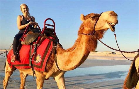 What's up with this, 3camels is not accurate here, not sure how to report it to 3camels.see link (self.camelcamelcamel). Wonderful 13 Day Top End Darwin to Broome Itinerary ...