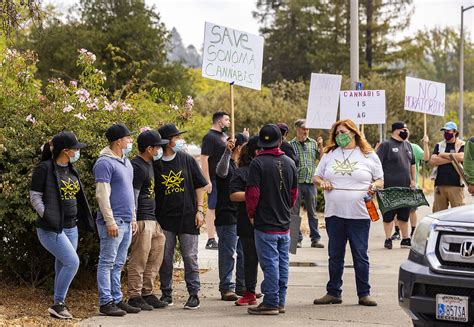 Cannabis Farmers Employees Protest Outside Sonoma County Supervisors