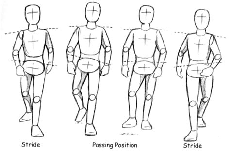 Kuvahaun Tulos Haulle Walking Forward Pose Figure Drawing Reference