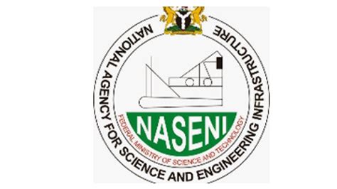 Naseni Seeks Partnership With Producers Of Lithium Batteries