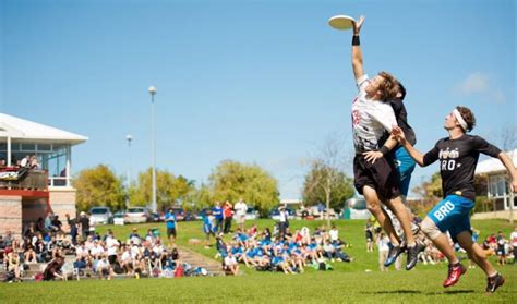 Palmy Venues Ultimate Frisbee Nationals