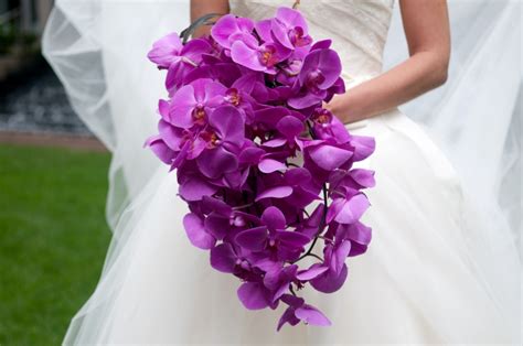 Bouquet Of The Week A Cascade Of Magenta Purple Orchids