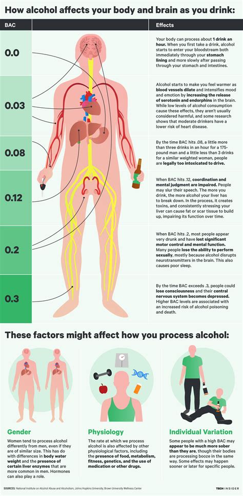 How Alcohol Affects Your Body And Brain As You Drink Business Insider