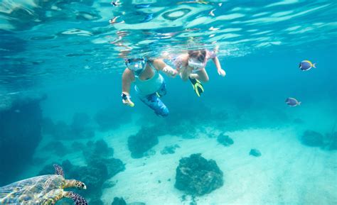 Helpful Tips For Snorkeling In Panama City Beach Realjoy