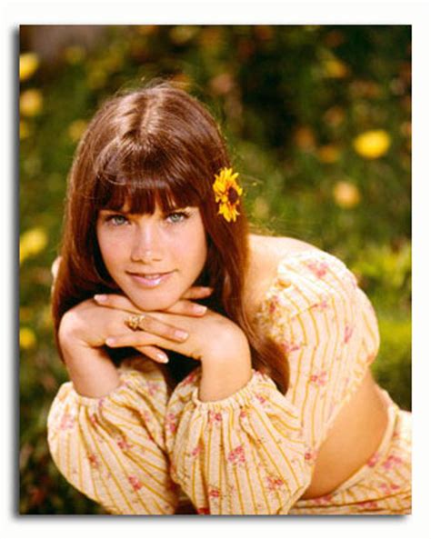 Ss3456557 Movie Picture Of Barbi Benton Buy Celebrity Photos And