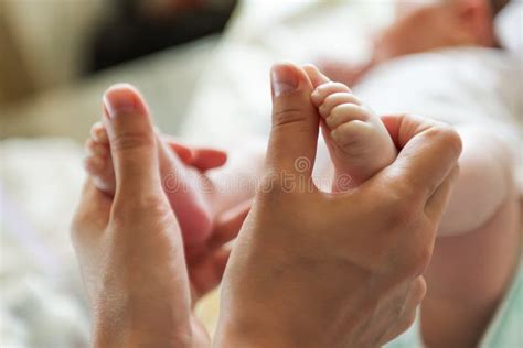 Newborn Baby Feet In Female Hands Stock Photo Image Of Comfort
