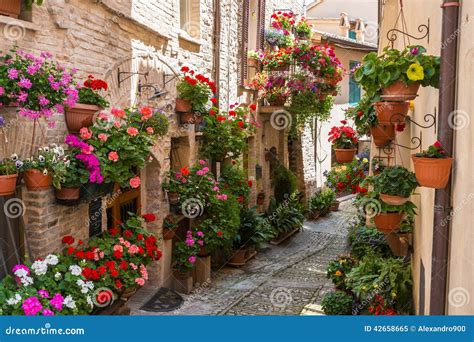 Alley With Flowers Stock Image Image Of Stone Village 42658665