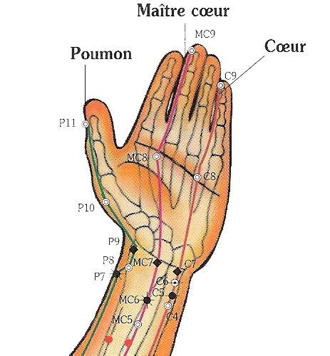 Épinglé par jacques conte sur les 12 méridiens acupression medecine chinoise