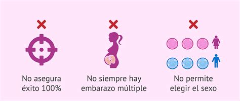 ¿conoces Estos Mitos Sobre Fertilidad Y Reproducción