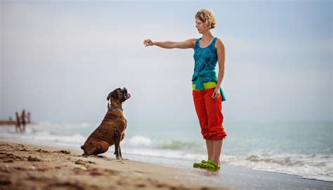 Most Effective Dog Training Methods According To Science