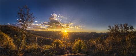 Golden Sunlight Desert Scene Photograph By Luis Lyons