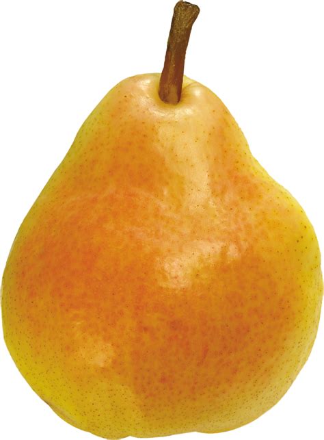 Collection Of Pear Png Pluspng