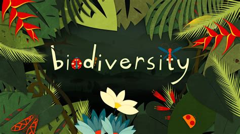 Ecology Blog Value And Importance Of Biodiversity