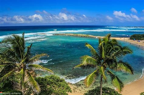 Top 5 Oahu Snorkel Spots Best Places To Snorkel On Oahu