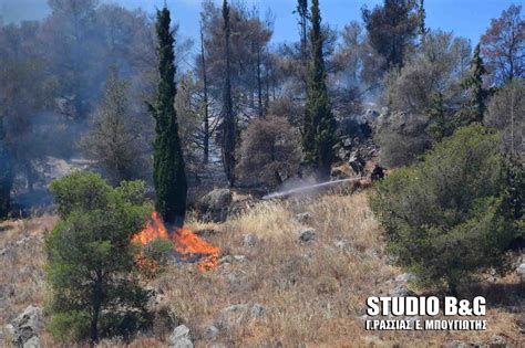 Η πυρκαγιά καίει ξερά χόρτα, ενώ στο σημείο έχουν σπεύσει δύο οχήματα της πυροσβεστικής υπηρεσίας λάρισας, με τέσσερις άνδρες, προκειμένου να τη θέσουν υπό έλεγχο. Αργολικές Ειδήσεις: ΠΥΡΚΑΓΙΑ