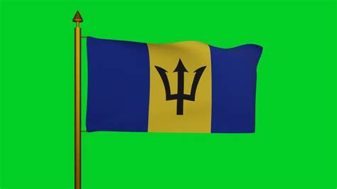 National Flag Of Barbados Waving With Flagpole On Chroma Key The Broken Trident Or Barbados