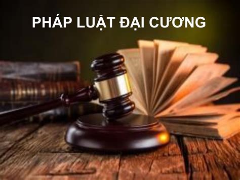 Phap Luat Dai Cuong Minh Anh Nguyễn Trang 1 301 Pdf Lật Trang Trực Tuyến Pubhtml5