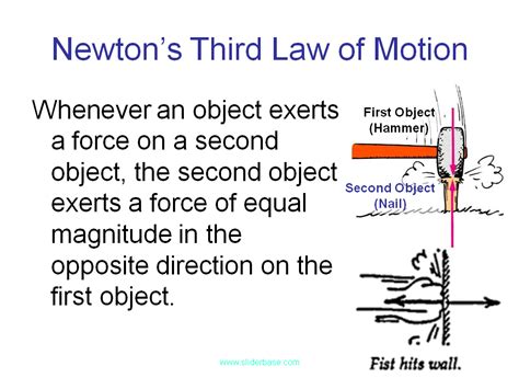 Newtons Third Law Of Motion
